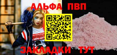 стафф Донской