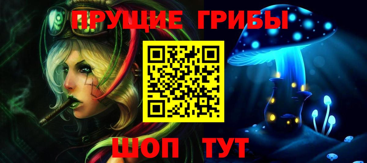 Кудрово  Галлюциногенные грибы ЛСД  дарнет шоп  Галлюциногенные грибы прущие грибы  Вход с VPN 
