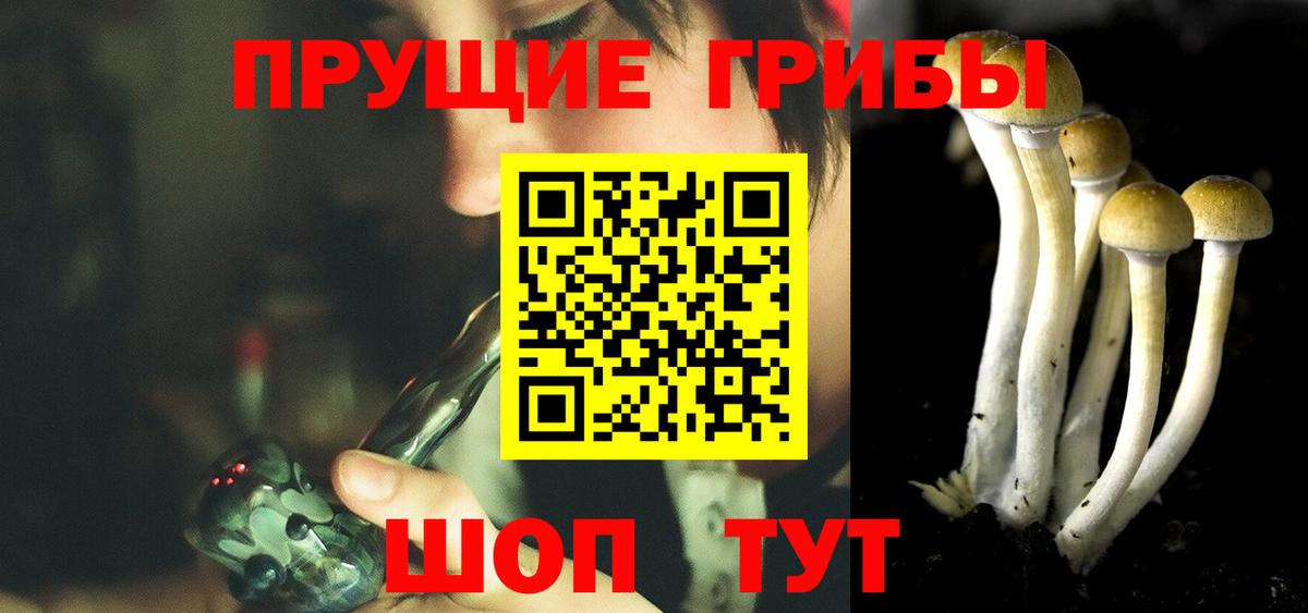 Псилоцибиновые грибы Magic Shrooms Кудрово